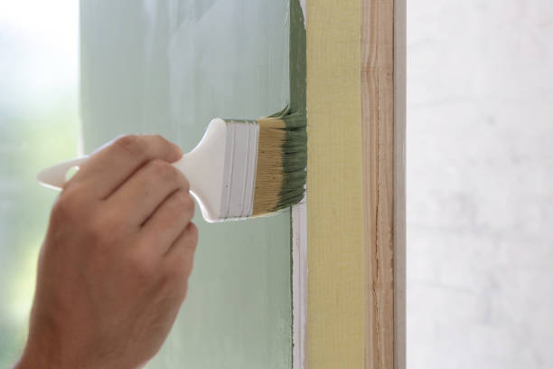 Best Black Mold Removal  in Nes, IL