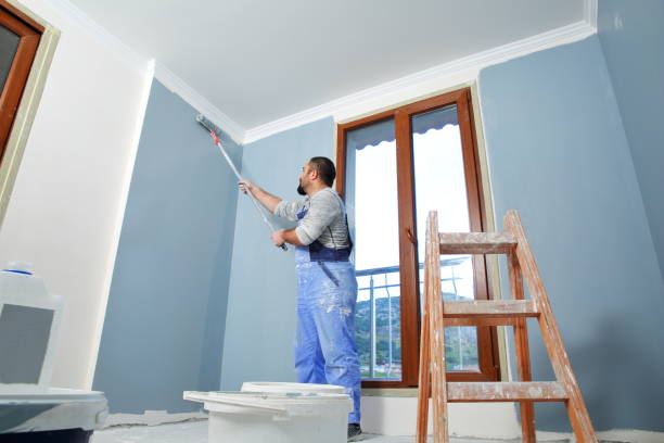 Best Basement Mold Removal  in Nes, IL