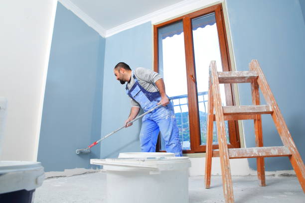 Best Crawl Space Mold Remediation  in Nes, IL