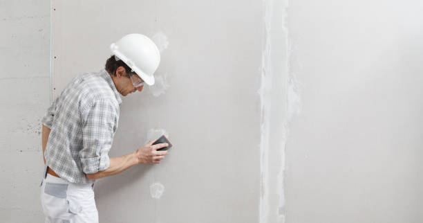 Best Real Estate Mold Inspection  in Nes, IL
