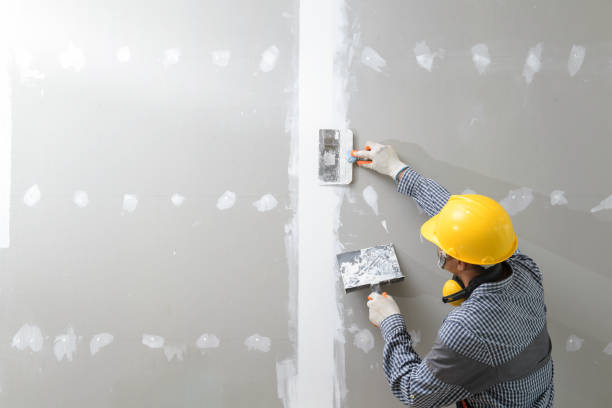 Best Industrial Mold Remediation  in Nes, IL
