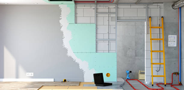 Best Post-Construction Mold Inspection  in Nes, IL