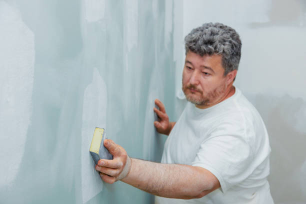 Best Residential Mold Inspection & Testing  in Nes, IL