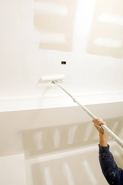 Best Emergency Mold Remediation  in Nes, IL