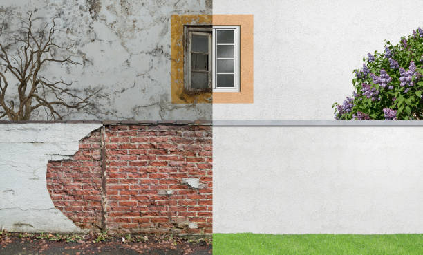 Best Mold Damage Restoration  in Nes, IL