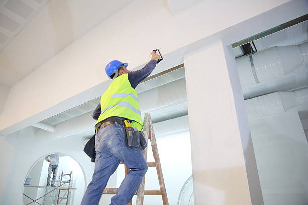 Best Crawl Space Mold Remediation  in Nes, IL
